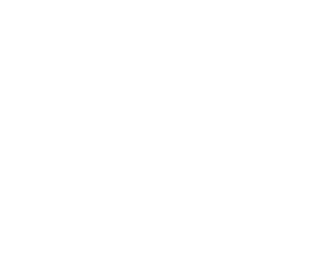 United Nations Logo